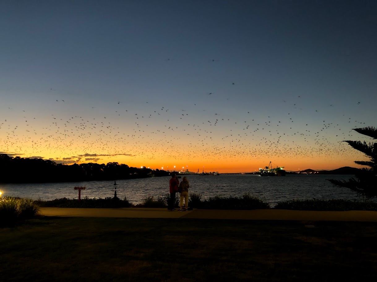 Gladstone harbour at dusk
