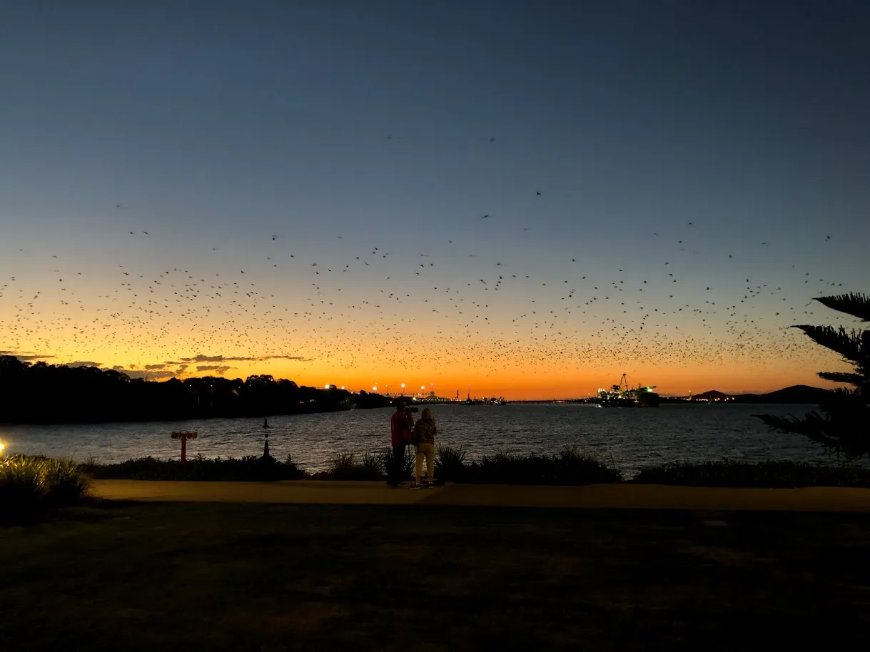 Gladstone harbour at dusk